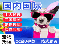 攀枝花保安营机场邮寄国际宠物托运 【国